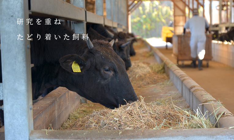 飼料